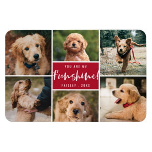 6 Fotocollage Sie sind mein Funshine Roter Haust Magnet