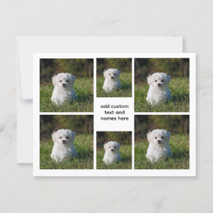 6 FotoCollage - Weißgitterästhetische, Minimal Postkarte