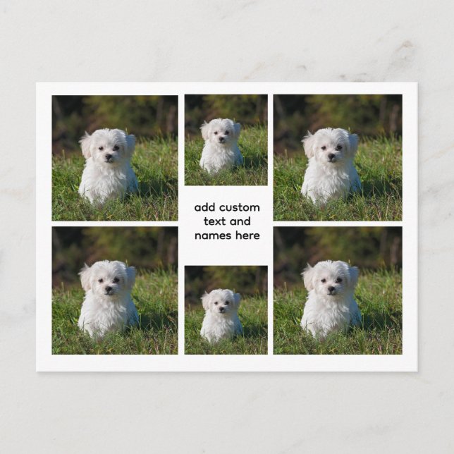 6 FotoCollage - Weißgitterästhetische, Minimal Postkarte (Vorderseite)