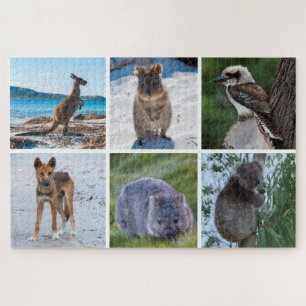 6-in-1 Tiere aus Australien, 1014 Stück Puzzle