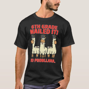 6. Klasse nagelte es keine Probllama-Klasse von 20 T-Shirt