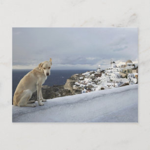 6. November Postkarte