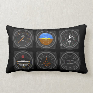 6 Packung Flugzeugsäcke Lendenkissen