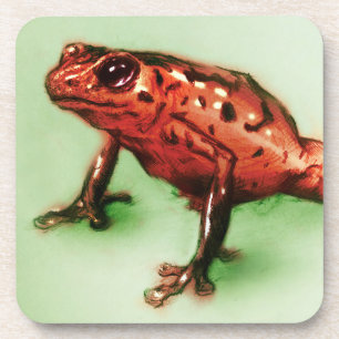 6 Red Frog Untersetzer Set, Wildtierskizze