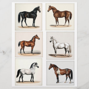 6 Schöne Horse Illustrationen für Papercrafting