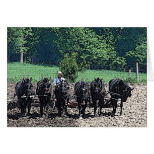 6 Schöne Pferde bei der Arbeit, Jeden Anlaß