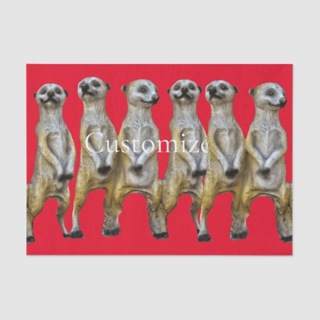 6 Stehend Meerkats Thunder_Cove Seidenpapier (Vorderseite)