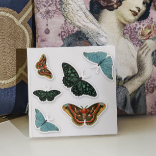6 Stk. Vintager, farbiger Schmetterling hübsche Ko Aufkleber