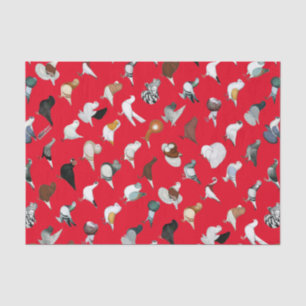 6 Tauben-Zucht Seidenpapier