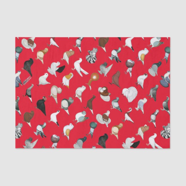 6 Tauben-Zucht Seidenpapier (Vorderseite)