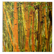 6 x 6 Bambus-Keramik-Kunst-Fliese