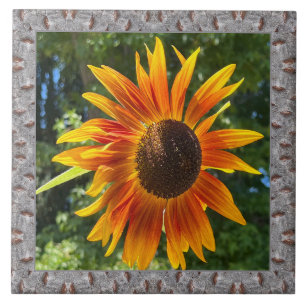6"x 6" Keramik Tile mit fröhlicher Orangenblume Fliese