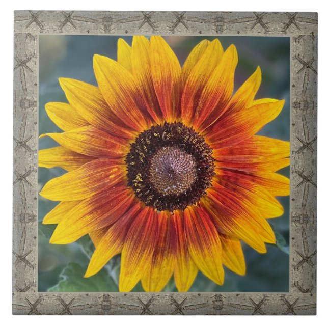 6"x 6" Keramik Tile mit Susie's Sonnenblume Fliese (Vorderseite)