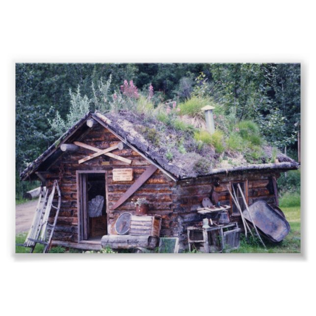 6x4 Foto in Denali (Vorne)