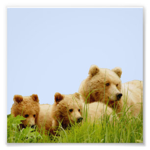 6x6 Kodak Beruflich Foto Paper (Satin)