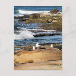 #7001 Beach Postkarte