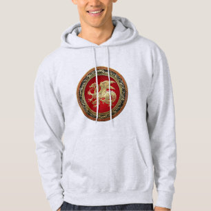 [700] Isländischer Drache, Landvættir [Gold] Hoodie