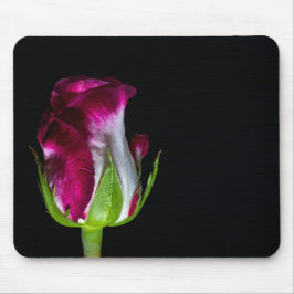 7019-Rot-geklemmte weiße Rose Mousepad