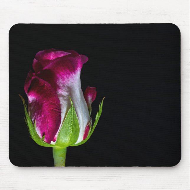 7019-Rot-geklemmte weiße Rose Mousepad (Vorne)