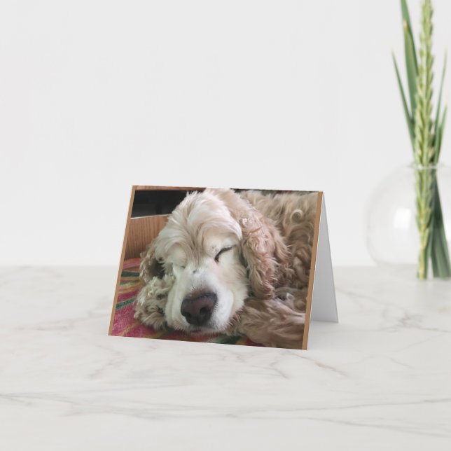 *70. BIRTHDAY* HA HA (FUNNY DOG SPASS) KARTE (Vorderseite)