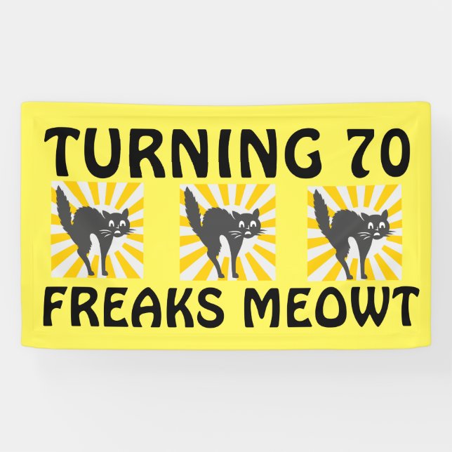70. GEBURTSTAG FUNNY CAT BANNER (Horizontal)