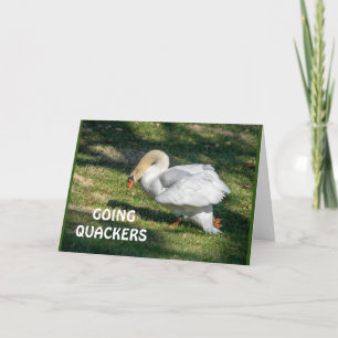 *70.* GEBURTSTAG-QUACKER-KÖNNEN NICHT WAHR SEIN KARTE