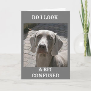 "70" WIE KANN ES SAGEN, WEIMARANER CARD KARTE