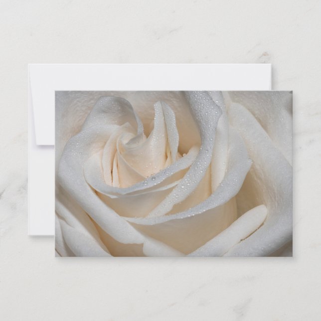 7127-Weiße Rose mit Taub Einladung (Vorderseite)