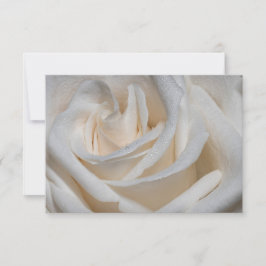 7127-Weiße Rose mit Taub Einladung