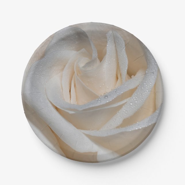 7127-Weiße Rose mit Taub Pappteller (Vorderseite)