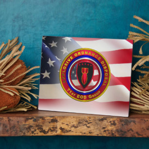 71. Sprengkörper-Entsorgungsgruppe Fotoplatte