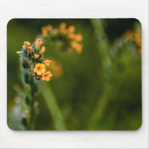 7223-Gelbe Fiddleneck-Blume Mousepad
