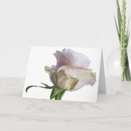 7493-Rosa und grüne Rose Karte