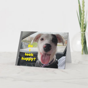 **75. GEBURTSTAG*** GLÜCKLICH IST ES "SIE" NICHT I KARTE