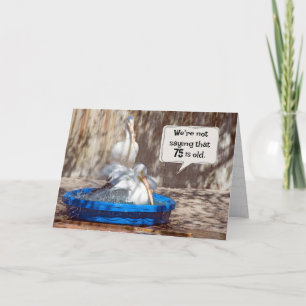 75. Geburtstag Pelikane Spaß Karte