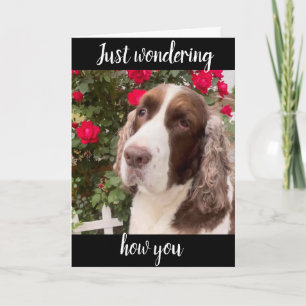 **75. & SIE SIND IMMER FABULOUS**! BIRTHDAY CARD KARTE