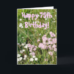 75th Birthday Card Karte<br><div class="desc">Photograph of some  pretty wild flowers taken late afternoon.Pink text:  'Happy 75th Birthday!'  Inside in Blue lettering: Have A Wonderful Day!</div>