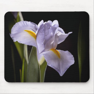 7659-2-Lila Iris Mousepad