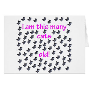 76 Katzen-Köpfe alt