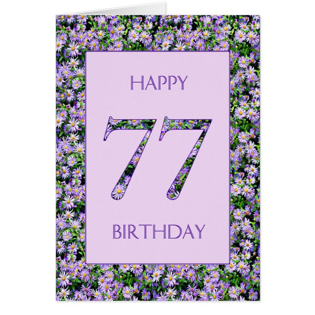 77. Geburtstag Lila Daisies (Vorne)