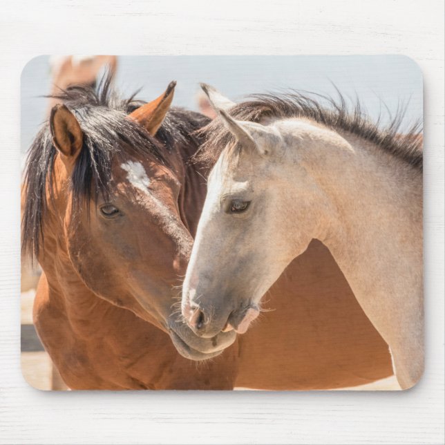 7911-Two Wild Mustangs Mousepad (Vorne)