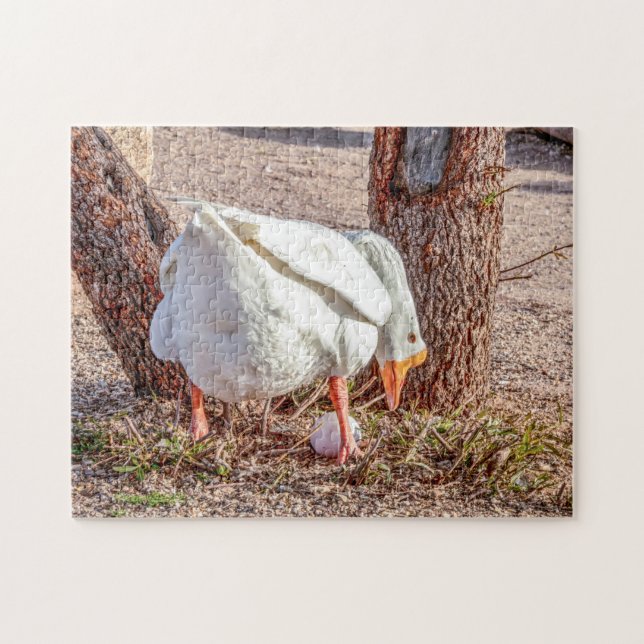 7928-Weiße Gans Stehend über Eierpuzzle Puzzle (Horizontal)