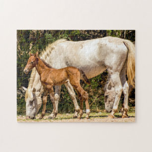 7985-Mama & Baby Wild Mustangs Puzzle