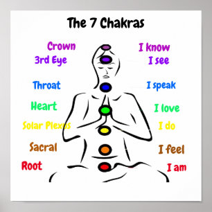 7 Chakras 12x12" Poster