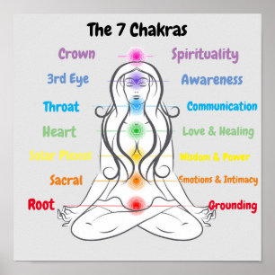 7 Chakras 12x12" Poster