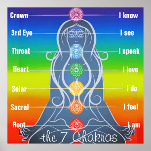 7 Chakras 24x24" Poster