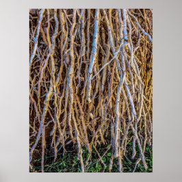 7 Drucke, Plakatpapier (halbglänzend) Poster