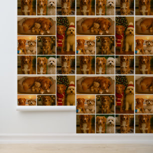 7 Fotovorlagen-Collage Personalisiert Tapete