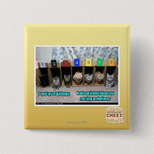 7 heraus ov 7 kittehs button