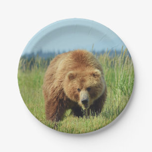 7" Pappteller mit Grizzlybären